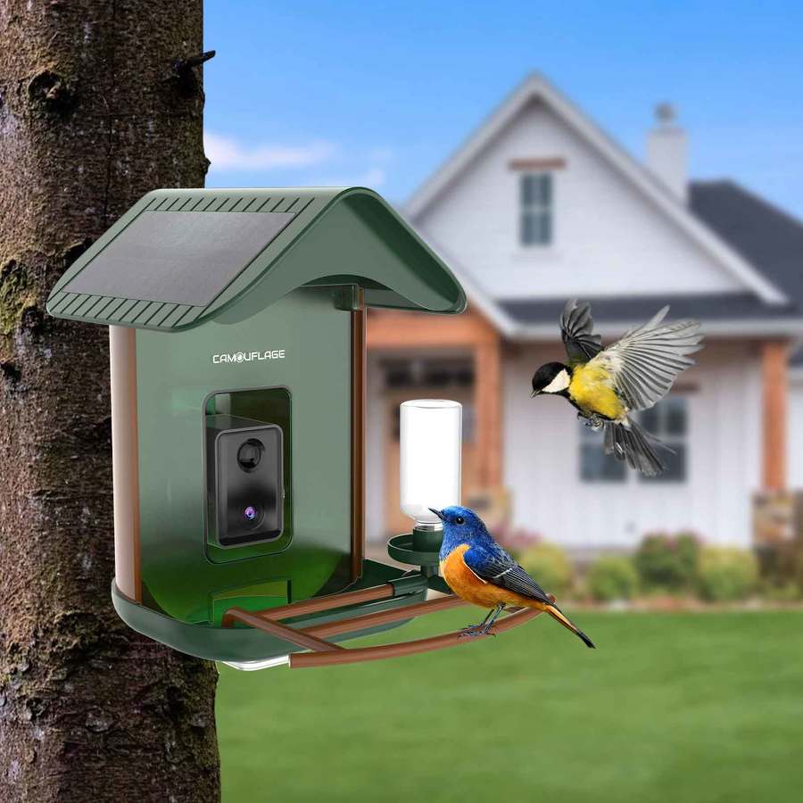 Mangeoire à oiseaux connectée avec détection des espèces par IA