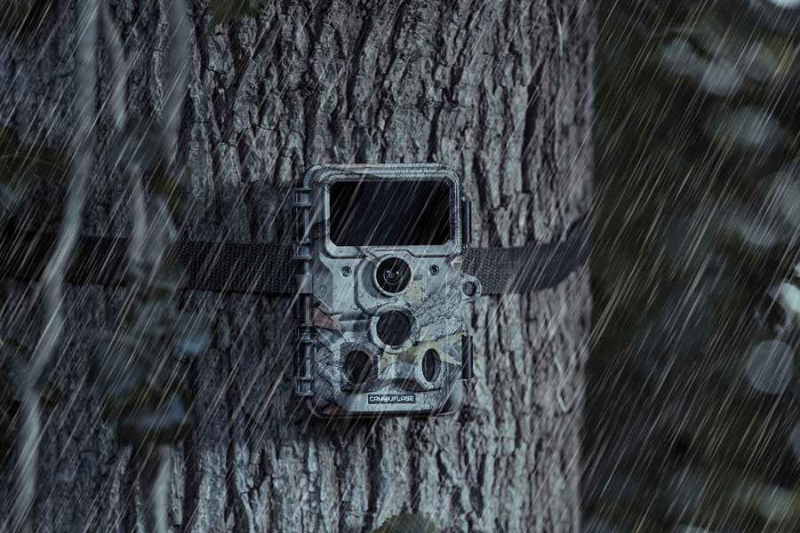 Camouflage EZ60 Wi-Fi Jagdkamera - An Smartphone senden 