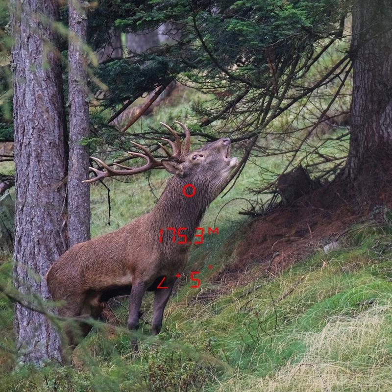 Binocolo GPO con telemetro Rangeguide 3200 10x40 