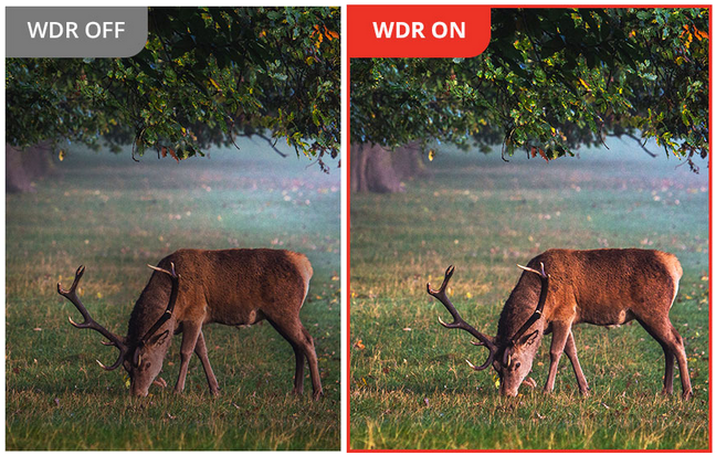 fernglas Wärmebildgerät HIKMICRO Habrok PRO HQ50LN 