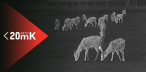 Monoculaire de vision thermique Hikmicro Lynx Pro LH25 2.0