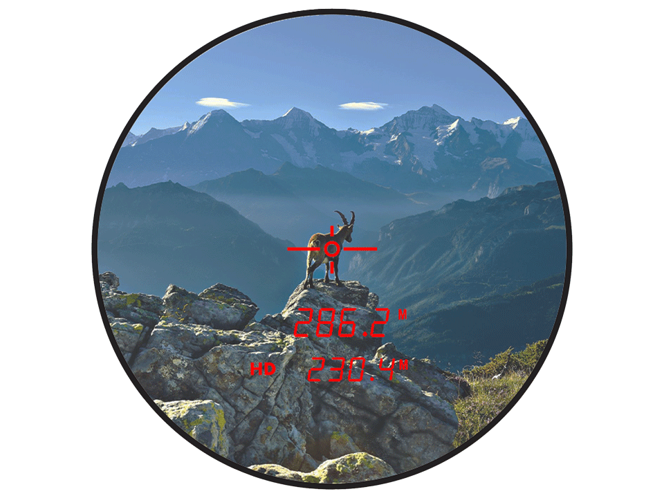 Binocoli Steiner Ranger LRF 10X42 