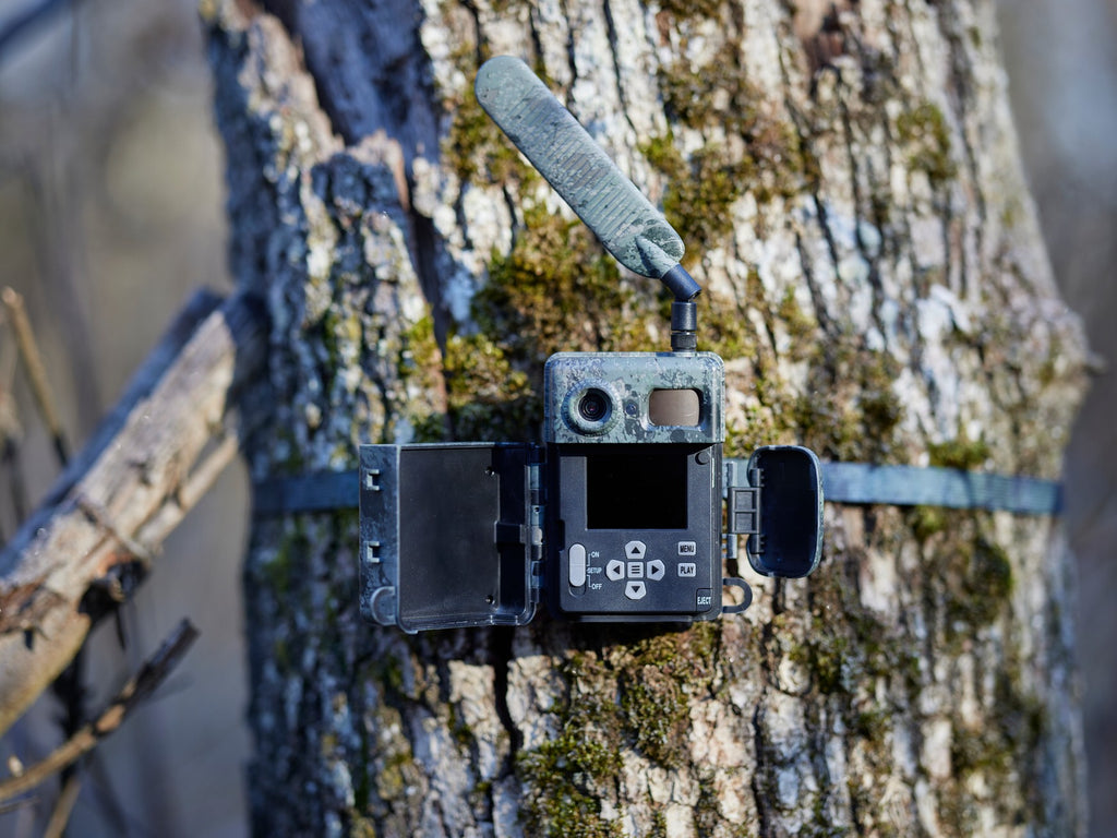 ZEISS Secacam 7 vernetztes Fotofallen-Gerät 