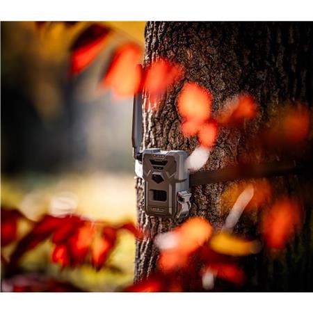 Spypoint Flex-M Twin Pack Kamera 