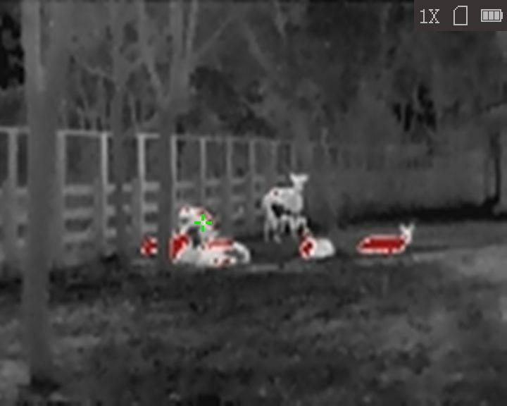 Monoculare termico HiKMICRO Lynx LC06 S connesso 