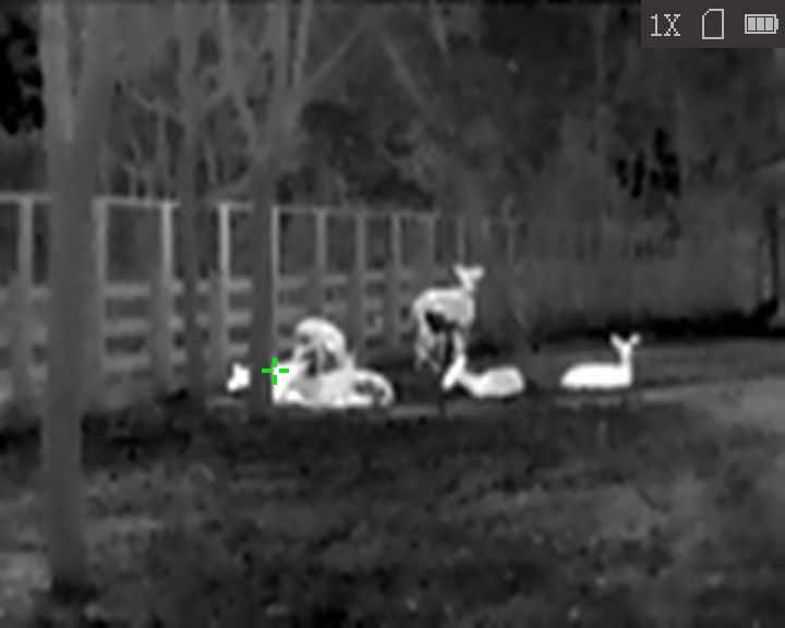 Monoculare termico HiKMICRO Lynx LC06 S connesso 