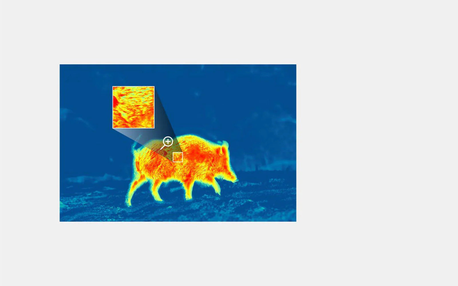 Binocolo termico Merger LRF XP35 Pulsar 