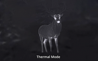 Jumelles thermique Hikmicro HABROK 4K HE25L 2.0