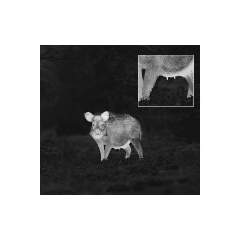 Monoculaire de vision thermique ZEISS DTI 3/35 GEN 2