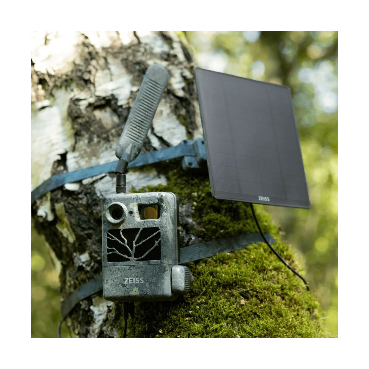 Fotofalle ZEISS Secacam 3er-Pack Solarpanel 