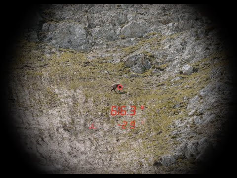 Binocoli Steiner Ranger LRF 10X42 