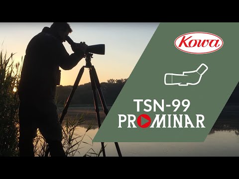 Longue-vue Kowa TSN-99A visée droite avec oculaire TE-11WZ II