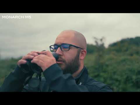 Jumelles Nikon Monarch M5 8X42