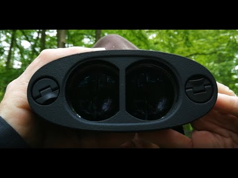 Jumelles Kite APC 12×42 stabilisées