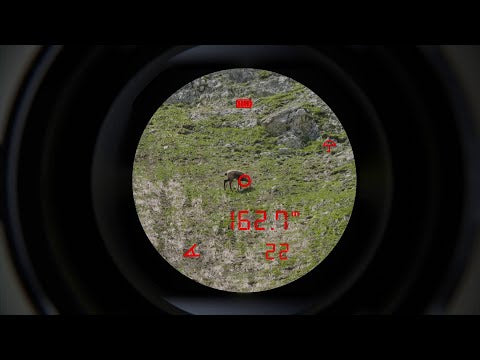 fernglas Steiner eRanger LRF 10x42 integrierter Entfernungsmesser 