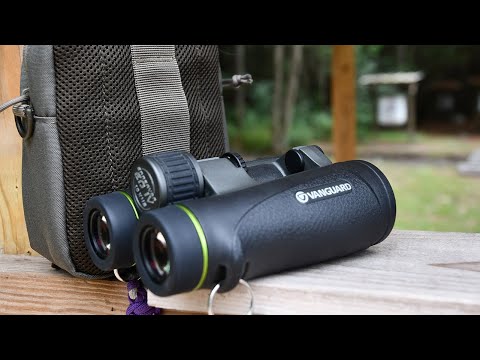 Jumelles Vanguard Endeavor ED IV 10X42