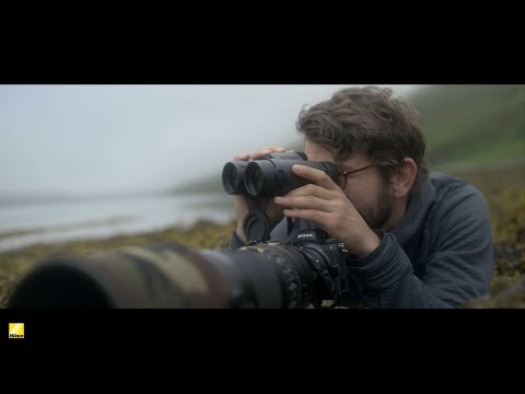 fernglas Nikon Monarch M5 8X42 