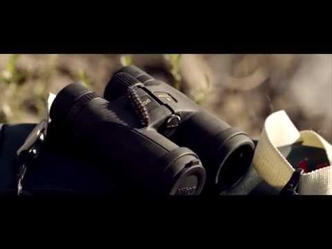 Jumelles Nikon Monarch 5 20x56 Verre ED