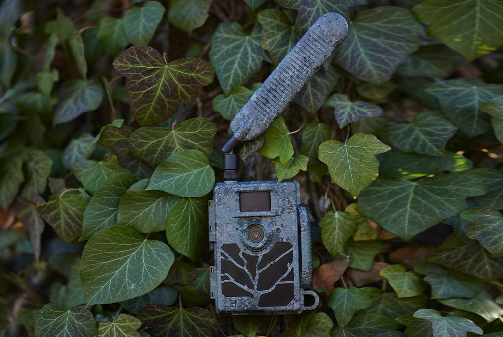 ZEISS Secacam 5 vernetztes Fotofallen-System 