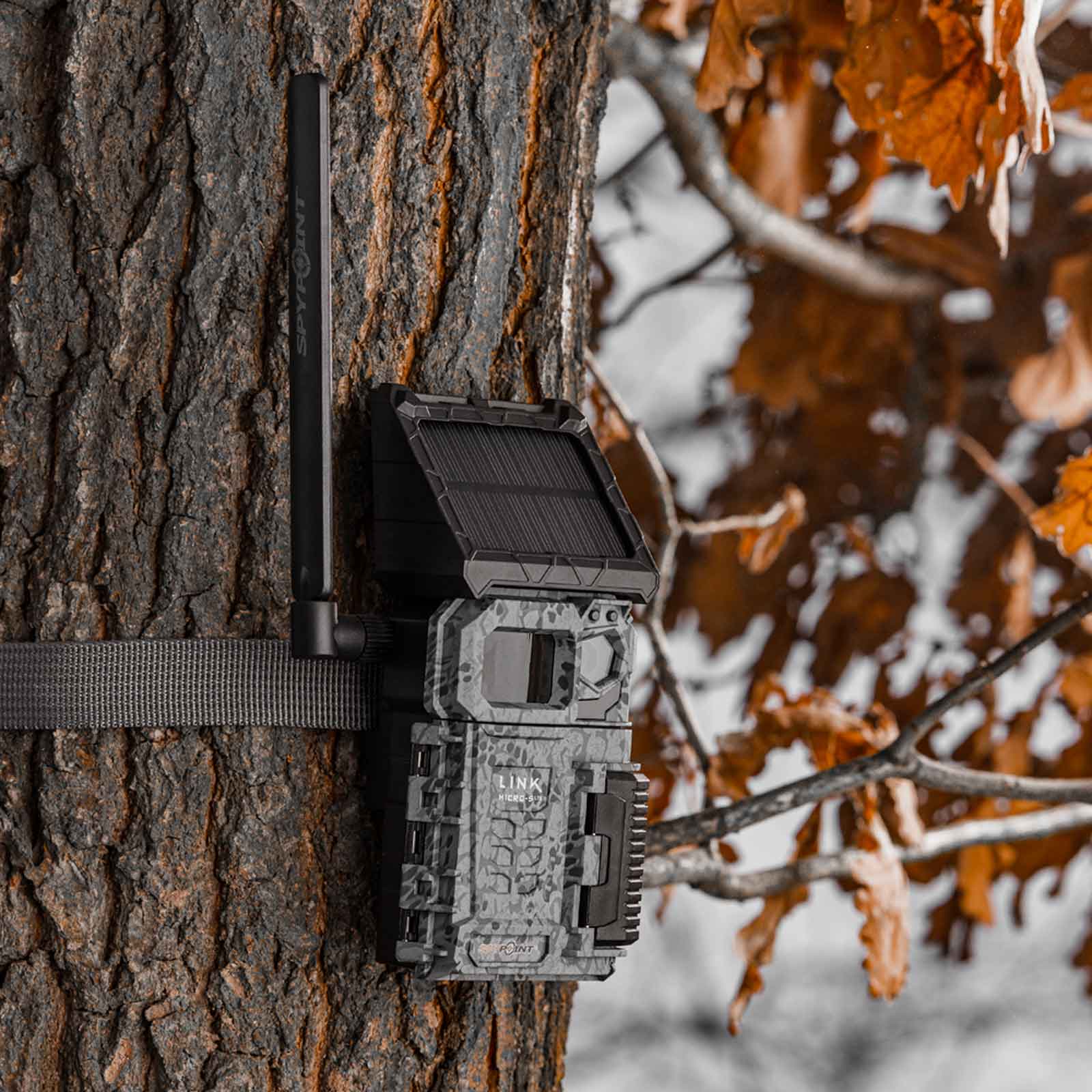 Fototrappola Spypoint FLEX Solare con trasmissione foto/video 