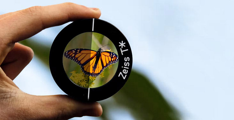 Monoculare ZEISS Victory 8X20 T* 